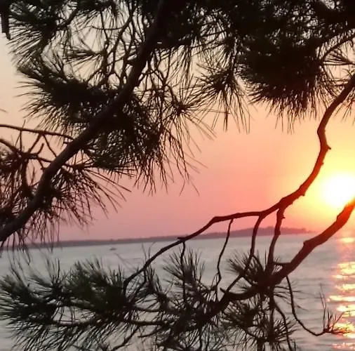 Annamaria * Πούλα