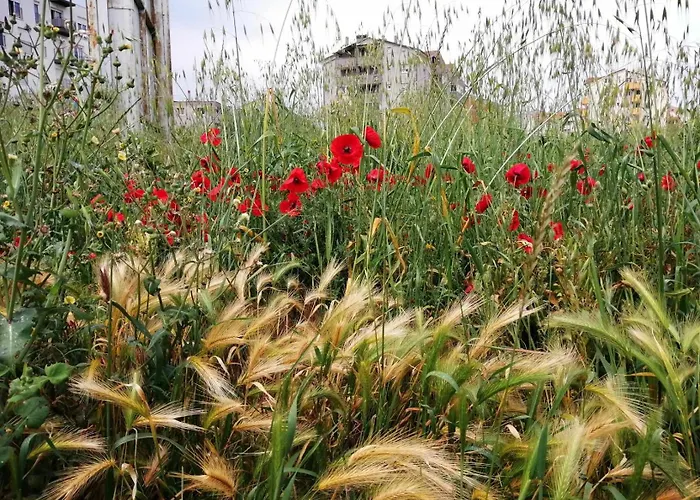 Apartment Annamaria Pula