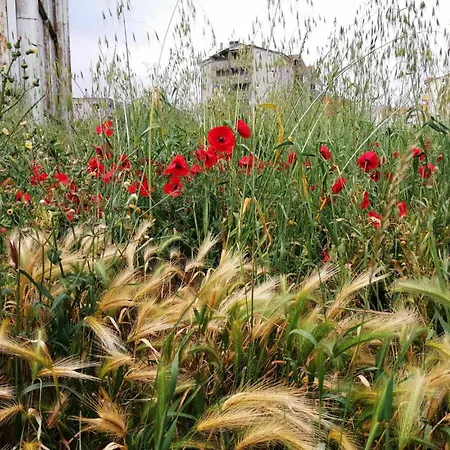 Appartement Annamaria Pula